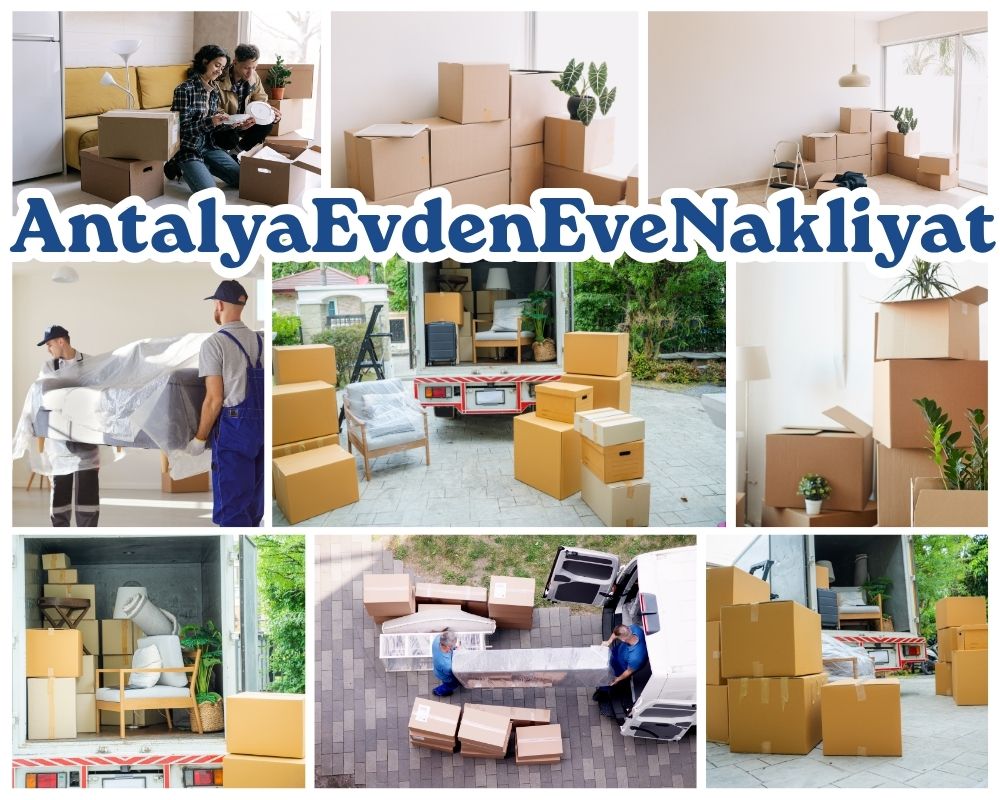 Antalya Şavşat Asansörlü Evden Eve Nakliyat